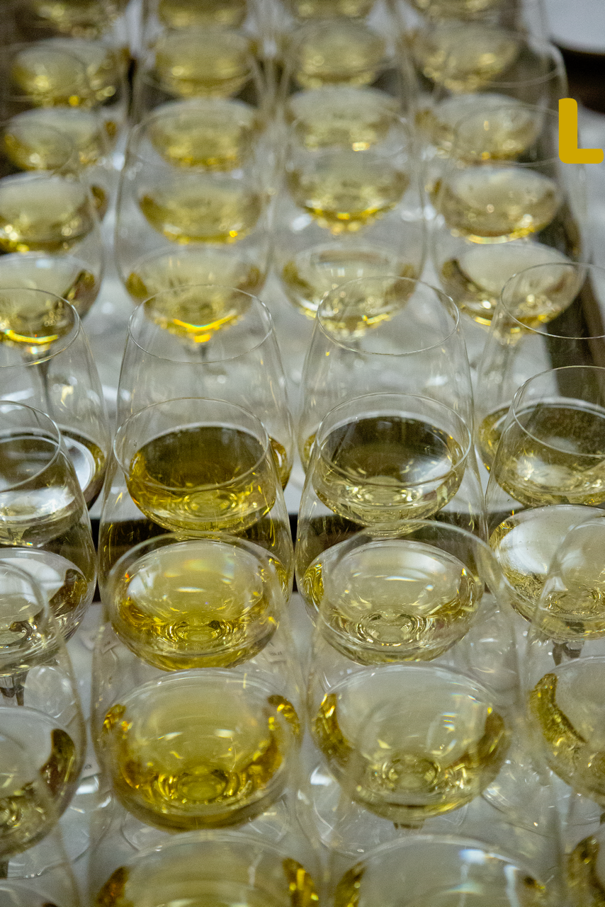 A Legacy Born from the Love of Wine